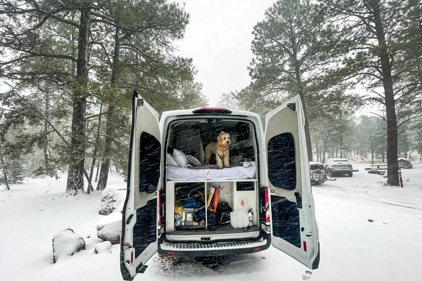 Do your research to find the camper van company that works for you.
